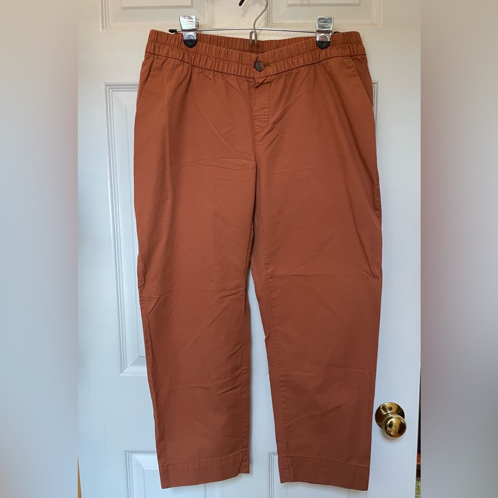 Gap Cotton Ankle pant in size Medium